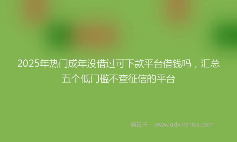 2025年热门成年没借过可下款平台借钱吗，汇总五个低门槛不查征信的平台