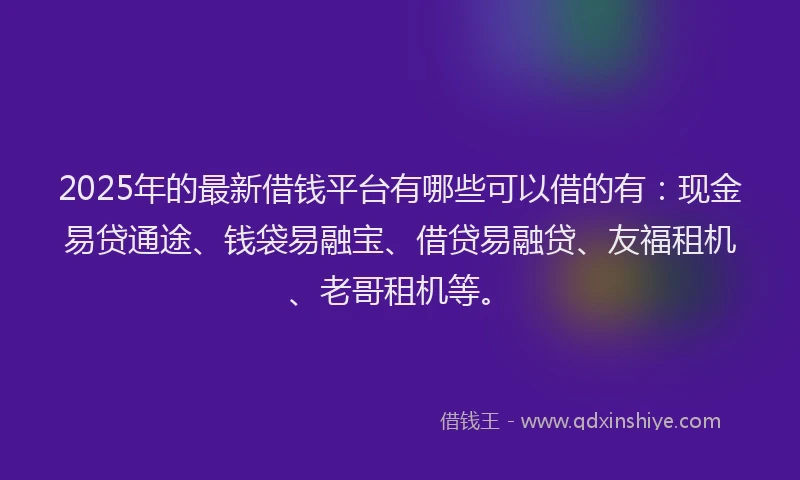2025年的最新借钱平台有哪些可以借的有：现金易贷通途、钱袋易融宝、借贷易融贷、友福租机、老哥租机等。