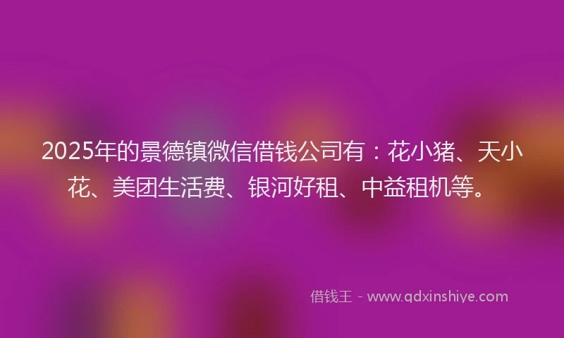 2025年的景德镇微信借钱公司有：花小猪、天小花、美团生活费、银河好租、中益租机等。