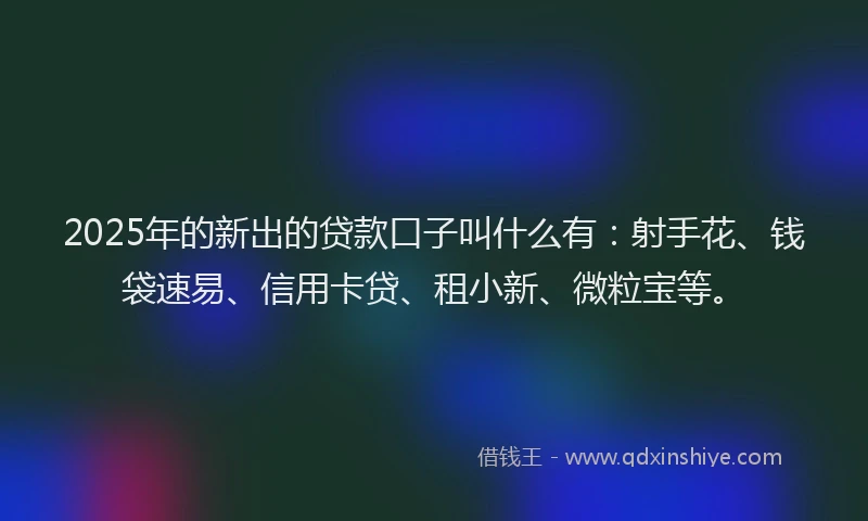 2025年的新出的贷款口子叫什么有：射手花、钱袋速易、信用卡贷、租小新、微粒宝等。