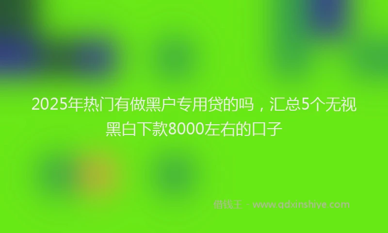 2025年热门有做黑户专用贷的吗，汇总5个无视黑白下款8000左右的口子