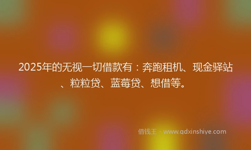 2025年的无视一切借款有：奔跑租机、现金驿站、粒粒贷、蓝莓贷、想借等。