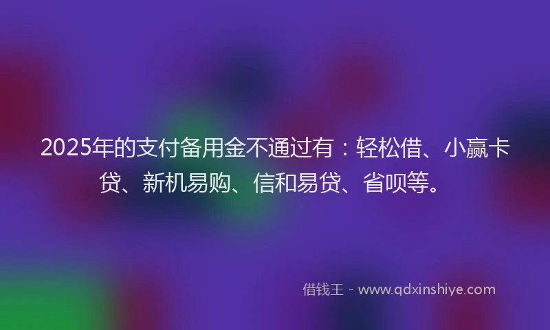 2025年的支付备用金不通过有：轻松借、小赢卡贷、新机易购、信和易贷、省呗等。