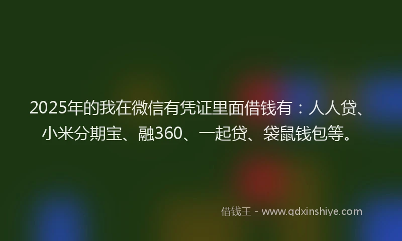2025年的我在微信有凭证里面借钱有：人人贷、小米分期宝、融360、一起贷、袋鼠钱包等。