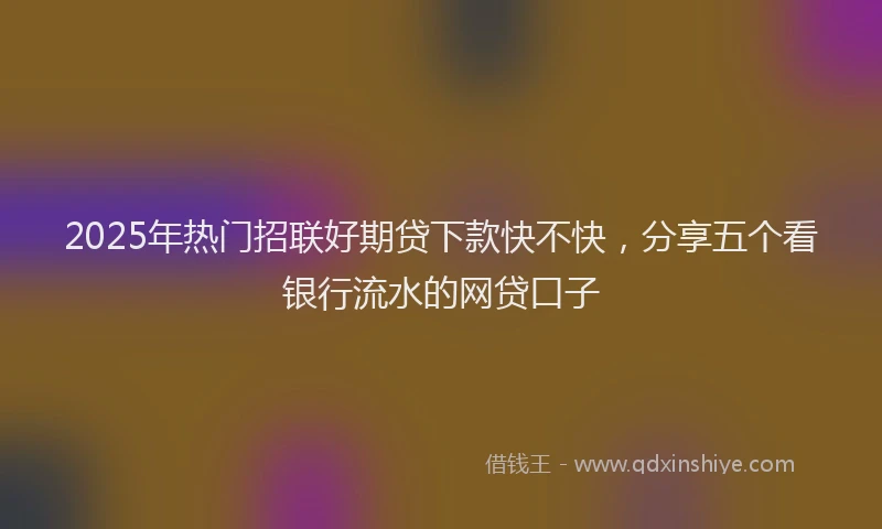 2025年热门招联好期贷下款快不快，分享五个看银行流水的网贷口子