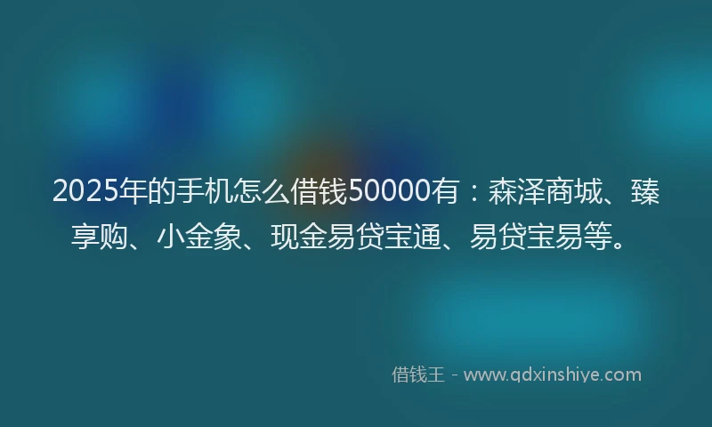 2025年的手机怎么借钱50000有：森泽商城、臻享购、小金象、现金易贷宝通、易贷宝易等。