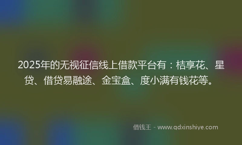 2025年的无视征信线上借款平台有：桔享花、星贷、借贷易融途、金宝盒、度小满有钱花等。