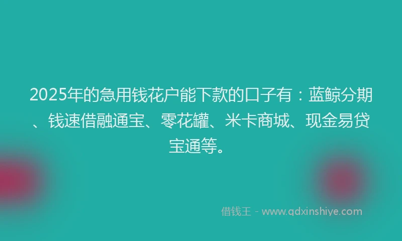 2025年的急用钱花户能下款的口子有：蓝鲸分期、钱速借融通宝、零花罐、米卡商城、现金易贷宝通等。