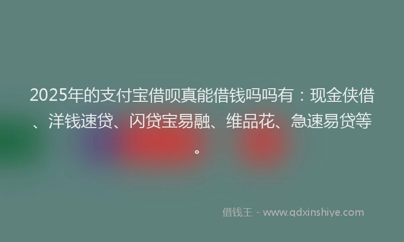 2025年的支付宝借呗真能借钱吗吗有：现金侠借、洋钱速贷、闪贷宝易融、维品花、急速易贷等。