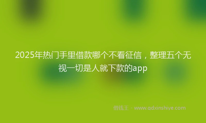 2025年热门手里借款哪个不看征信，整理五个无视一切是人就下款的app