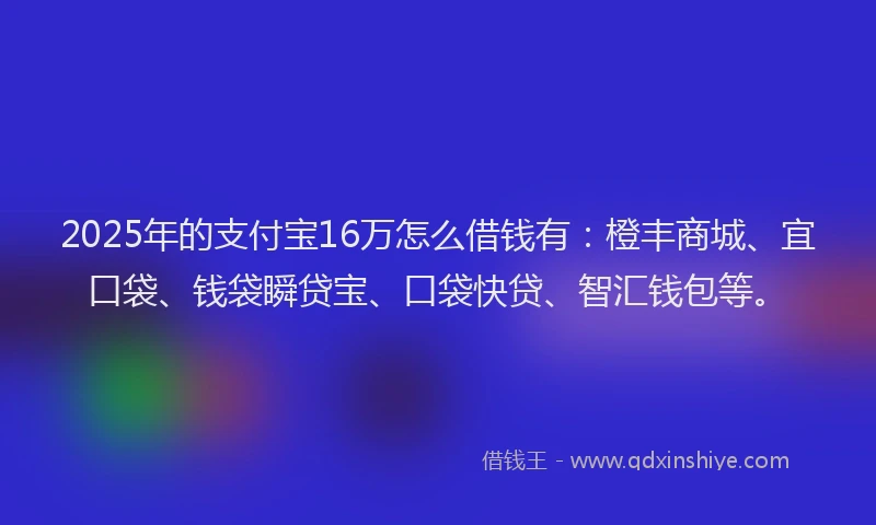 2025年的支付宝16万怎么借钱有：橙丰商城、宜口袋、钱袋瞬贷宝、口袋快贷、智汇钱包等。