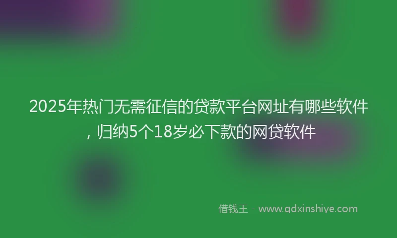 2025年热门无需征信的贷款平台网址有哪些软件，归纳5个18岁必下款的网贷软件