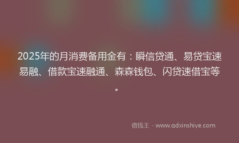 2025年的月消费备用金有：瞬信贷通、易贷宝速易融、借款宝速融通、森森钱包、闪贷速借宝等。