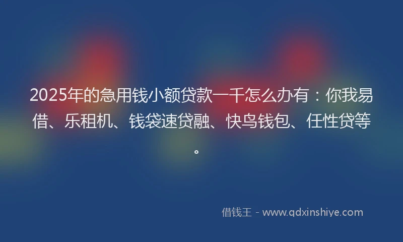 2025年的急用钱小额贷款一千怎么办有：你我易借、乐租机、钱袋速贷融、快鸟钱包、任性贷等。