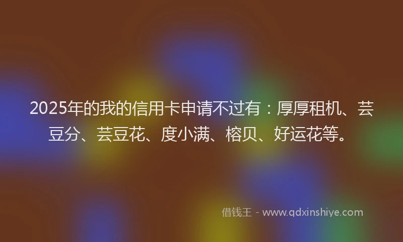 2025年的我的信用卡申请不过有：厚厚租机、芸豆分、芸豆花、度小满、榕贝、好运花等。