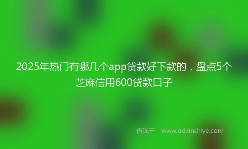 2025年热门有哪几个app贷款好下款的，盘点5个芝麻信用600贷款口子