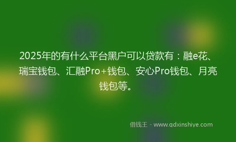 2025年的有什么平台黑户可以贷款有：融e花、瑞宝钱包、汇融Pro+钱包、安心Pro钱包、月亮钱包等。