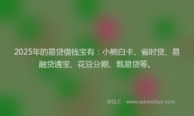 2025年的易贷借钱宝有：小熊白卡、省时贷、易融贷通宝、花豆分期、甄易贷等。