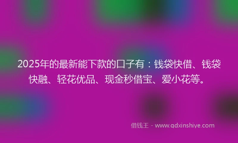 2025年的最新能下款的口子有：钱袋快借、钱袋快融、轻花优品、现金秒借宝、爱小花等。