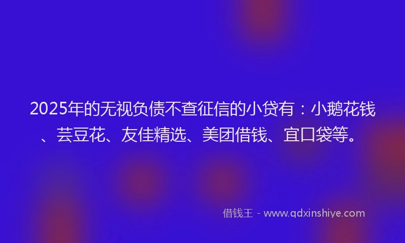 2025年的无视负债不查征信的小贷有：小鹅花钱、芸豆花、友佳精选、美团借钱、宜口袋等。