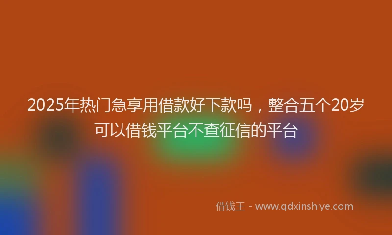 2025年热门急享用借款好下款吗，整合五个20岁可以借钱平台不查征信的平台