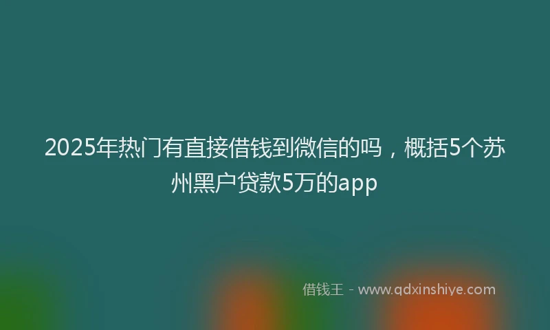 2025年热门有直接借钱到微信的吗，概括5个苏州黑户贷款5万的app