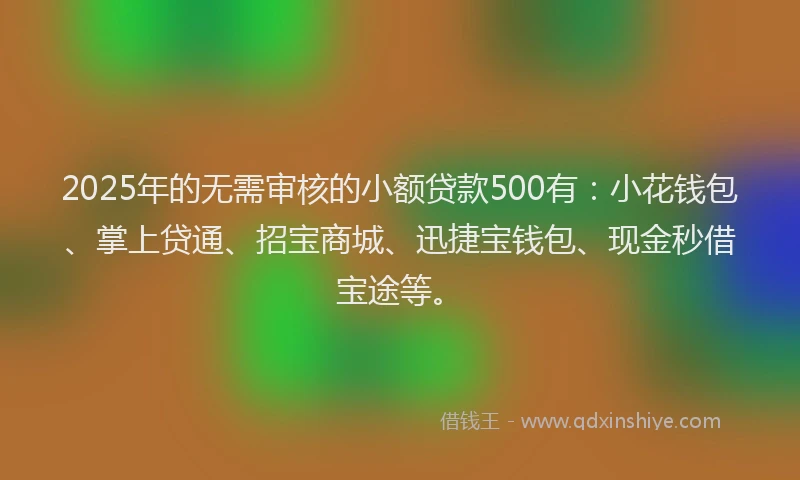 2025年的无需审核的小额贷款500有：小花钱包、掌上贷通、招宝商城、迅捷宝钱包、现金秒借宝途等。