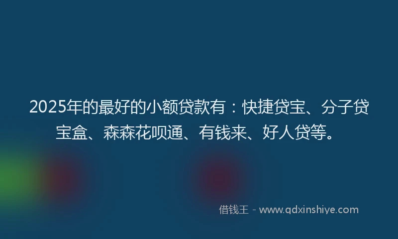 2025年的最好的小额贷款有：快捷贷宝、分子贷宝盒、森森花呗通、有钱来、好人贷等。