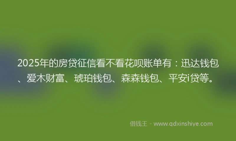 2025年的房贷征信看不看花呗账单有：迅达钱包、爱木财富、琥珀钱包、森森钱包、平安i贷等。