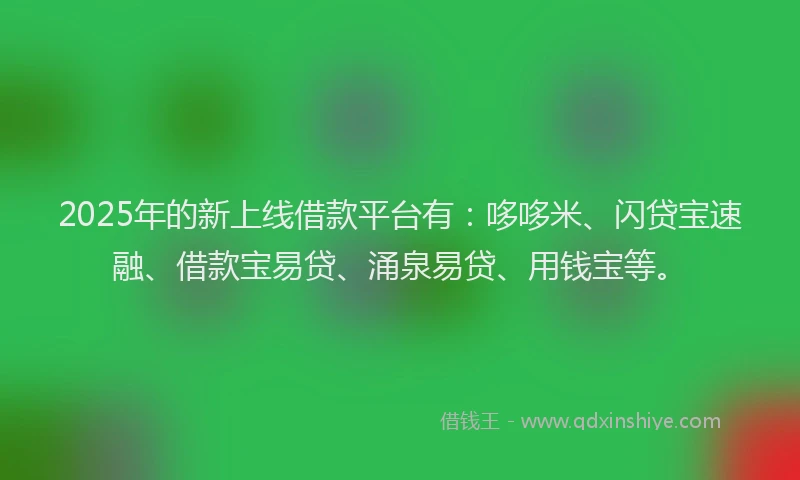2025年的新上线借款平台有：哆哆米、闪贷宝速融、借款宝易贷、涌泉易贷、用钱宝等。