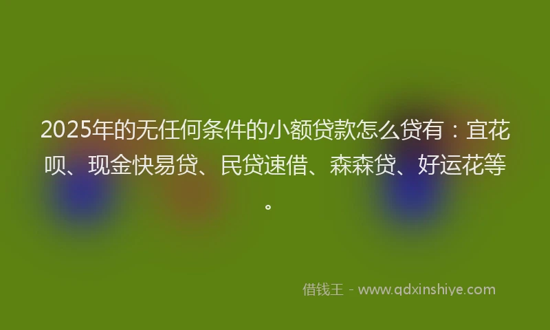 2025年的无任何条件的小额贷款怎么贷有：宜花呗、现金快易贷、民贷速借、森森贷、好运花等。