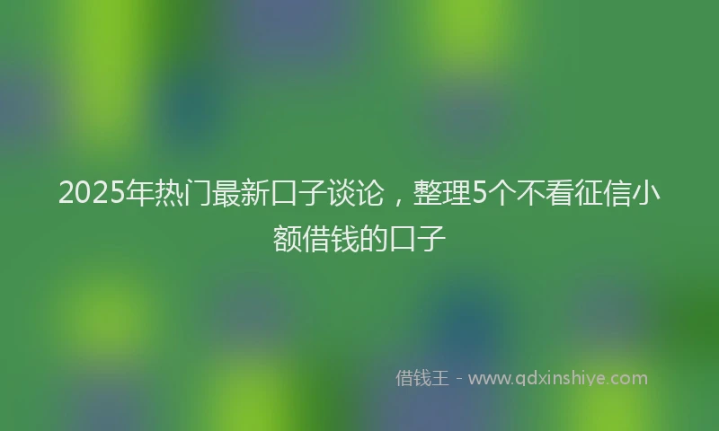 2025年热门最新口子谈论，整理5个不看征信小额借钱的口子
