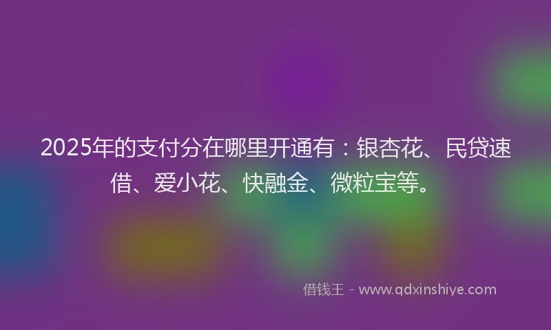 2025年的支付分在哪里开通有：银杏花、民贷速借、爱小花、快融金、微粒宝等。