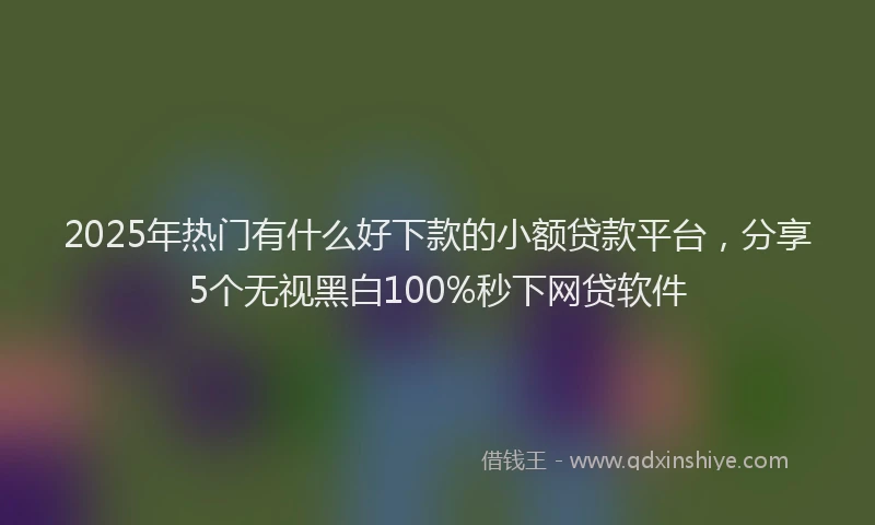 2025年热门有什么好下款的小额贷款平台，分享5个无视黑白100%秒下网贷软件