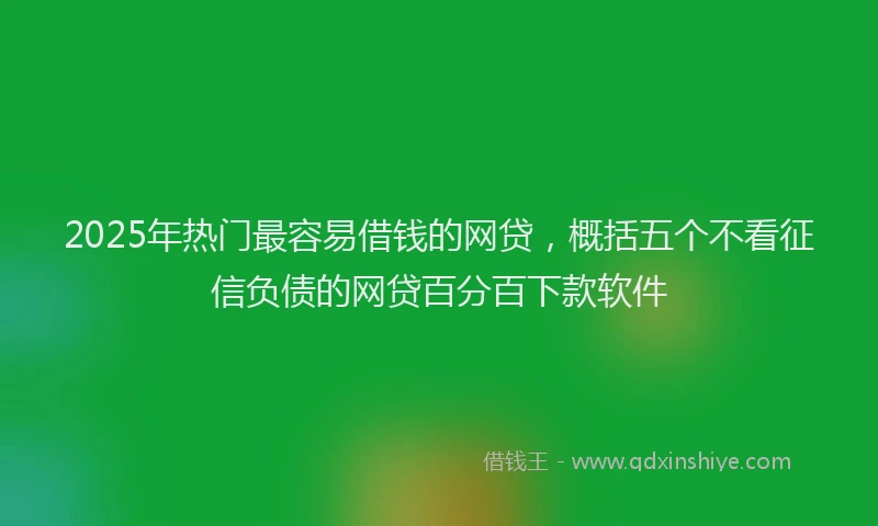 2025年热门最容易借钱的网贷，概括五个不看征信负债的网贷百分百下款软件