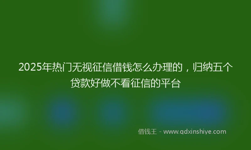 2025年热门无视征信借钱怎么办理的，归纳五个贷款好做不看征信的平台
