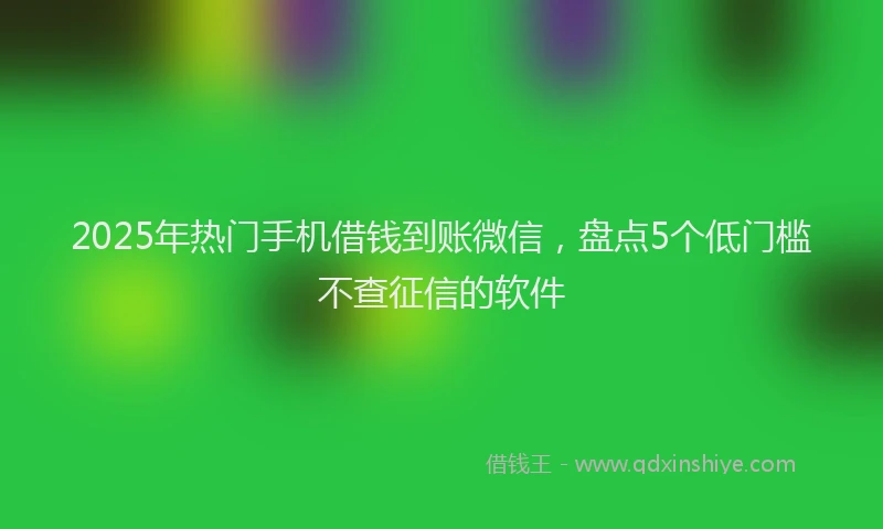 2025年热门手机借钱到账微信，盘点5个低门槛不查征信的软件