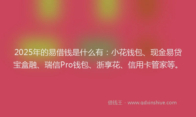 2025年的易借钱是什么有：小花钱包、现金易贷宝盒融、瑞信Pro钱包、浙享花、信用卡管家等。