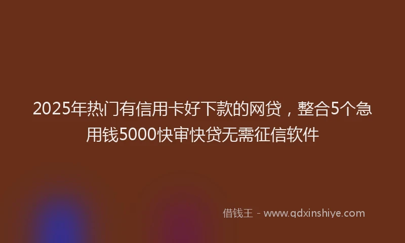 2025年热门有信用卡好下款的网贷，整合5个急用钱5000快审快贷无需征信软件