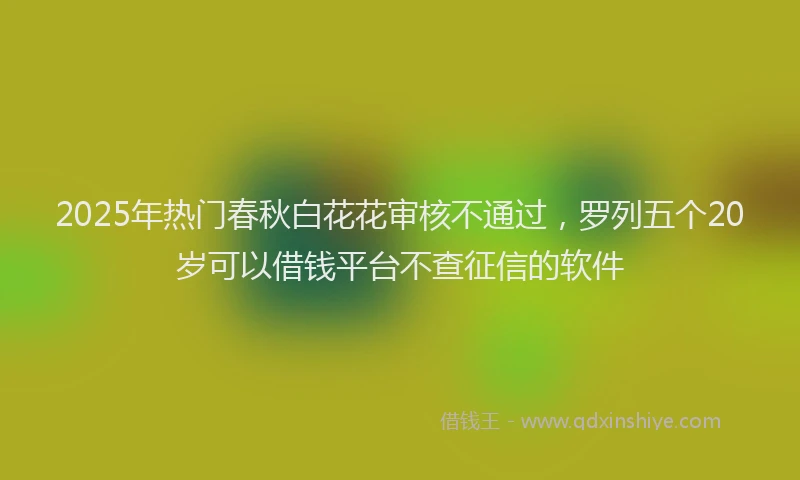 2025年热门春秋白花花审核不通过，罗列五个20岁可以借钱平台不查征信的软件