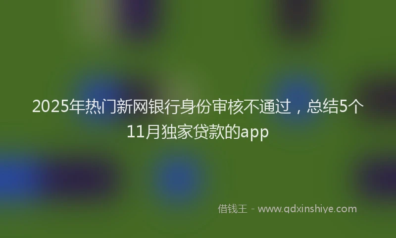 2025年热门新网银行身份审核不通过，总结5个11月独家贷款的app