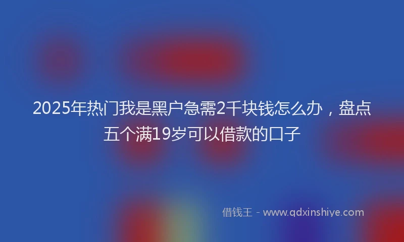 2025年热门我是黑户急需2千块钱怎么办，盘点五个满19岁可以借款的口子