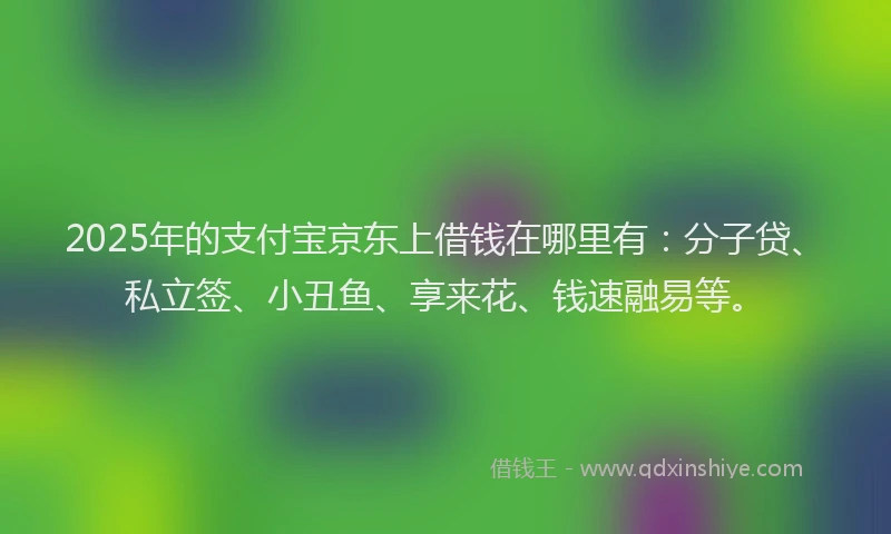 2025年的支付宝京东上借钱在哪里有：分子贷、私立签、小丑鱼、享来花、钱速融易等。