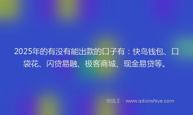 2025年的有没有能出款的口子有：快鸟钱包、口袋花、闪贷易融、极客商城、现金易贷等。