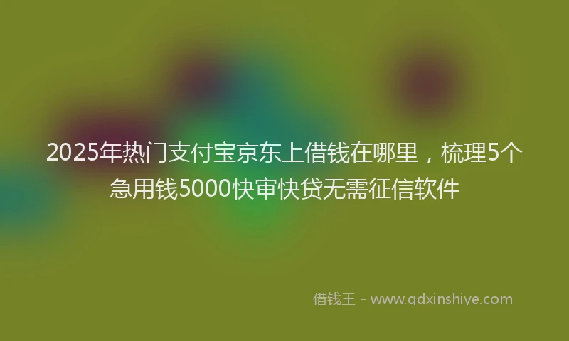 2025年热门支付宝京东上借钱在哪里，梳理5个急用钱5000快审快贷无需征信软件