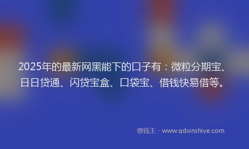 2025年的最新网黑能下的口子有：微粒分期宝、日日贷通、闪贷宝盒、口袋宝、借钱快易借等。