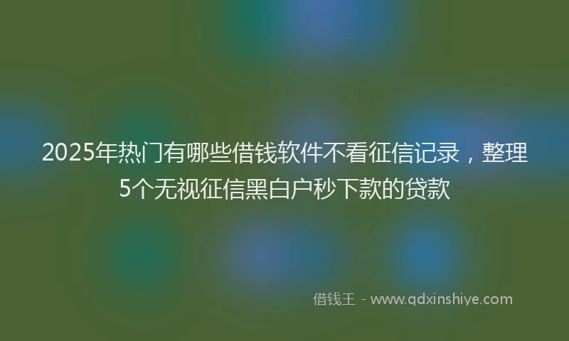 2025年热门有哪些借钱软件不看征信记录，整理5个无视征信黑白户秒下款的贷款
