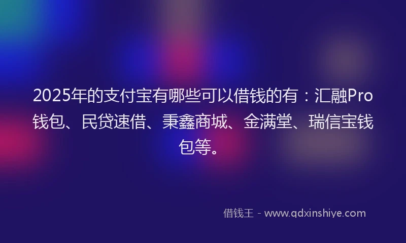 2025年的支付宝有哪些可以借钱的有：汇融Pro钱包、民贷速借、秉鑫商城、金满堂、瑞信宝钱包等。