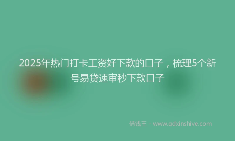 2025年热门打卡工资好下款的口子，梳理5个新号易贷速审秒下款口子