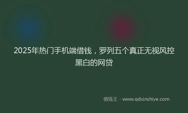 2025年热门手机端借钱，罗列五个真正无视风控黑白的网贷